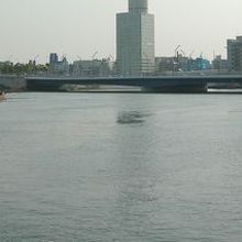 公園の水辺からの景色