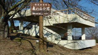 花の時期以外は・・・