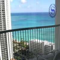 室内から窓ガラス越しに