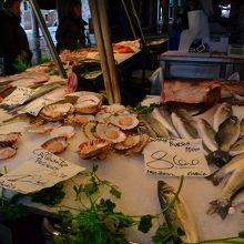 魚がいっぱい並んでいるよ。