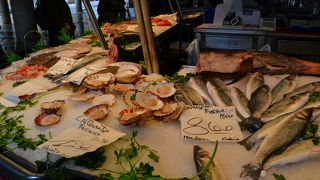 魚がいっぱいで楽しい。