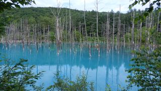 本当に青い！神秘的な雰囲気です･･･