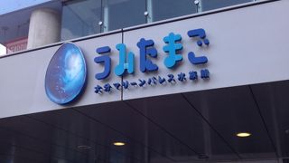 綺麗でちょうどいい大きさの水族館♪