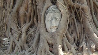 仏像の頭は何を語るのか　ワット・マハタート