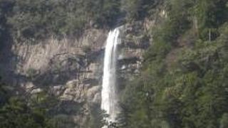 迫力があります