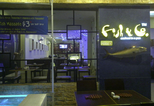 フィッシュ アンド コー