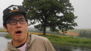 雨の美瑛は厳しいです