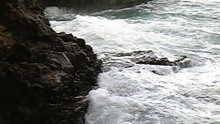 見ごたえあります