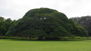 一度は訪れたい場所