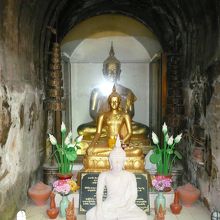 じめじめとしています