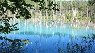 【撮影スポット】