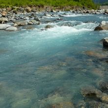 川の水も青い