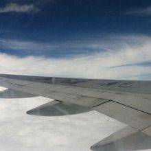 上海航空の翼。