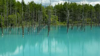 ホントに青い！