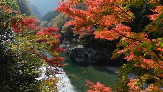 祖谷川のグリーンの水面に紅葉が映える！