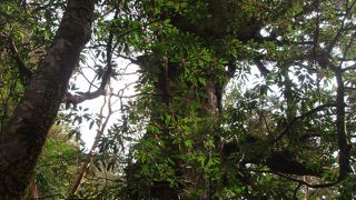 ちょっと見えづらい