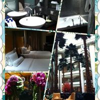 とっても贅沢な気分になれました。