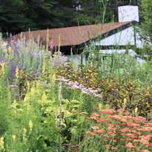 2012/7/24　約20日後の再訪問　