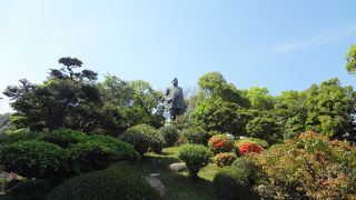 周遊バスでいけました。