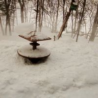 バードフィダー