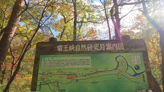 岩石の色の違いで、白と青と紫の龍。