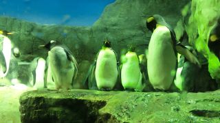 あっという間に時間が過ぎました