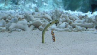 小樽に行ったらぜひ。