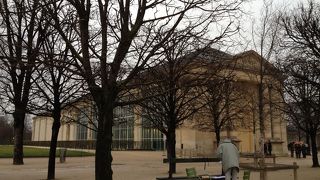 一人鑑賞の睡蓮