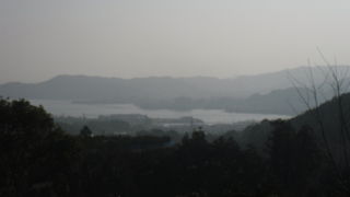 湖をとりまくみかん畑がきれい