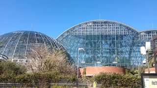 寒い日に暖かい熱帯植物館！-夢の島熱帯植物館-