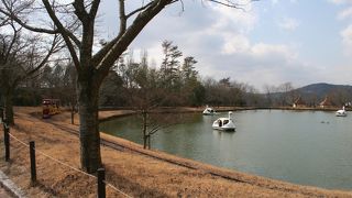 冬場でも楽しめます