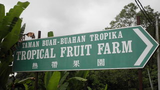 フレッシュフルーツやジュースが食べ飲み放題