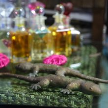 癒しグッズかな〜 