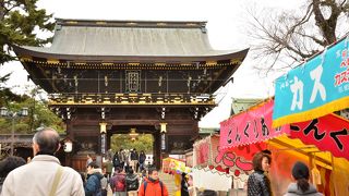 梅もお受験も。。満開