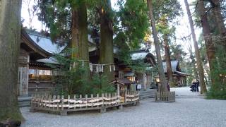 高千穂神社 --- 国重文の建物もある由緒正しい神社です。