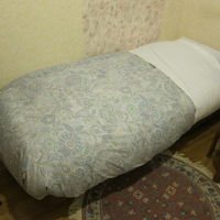 ツインのシングルユース