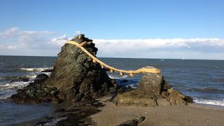 意外と小っちゃいのよね・・・