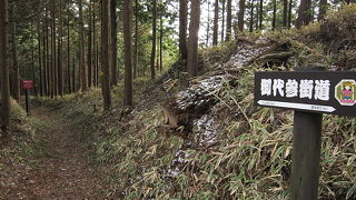 多賀大社と伊勢神宮を結ぶ約10里（約40km）の旧街道