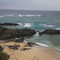 運が良ければエイに出会えるかも