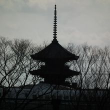 イルカスタジアムから見た東寺の五重塔