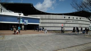 京都に水族館なんて似合わない！