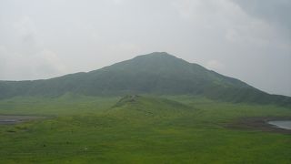 見渡す限りの緑