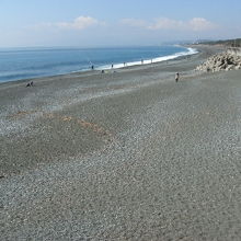 3月上旬の照ヶ崎海岸