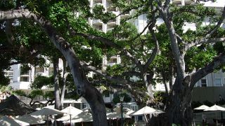 ブレックファースト