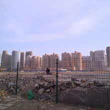 港側から策の向こうには摩天楼が見える