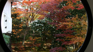 源光庵の悟りの窓、その先には紅葉がありました。