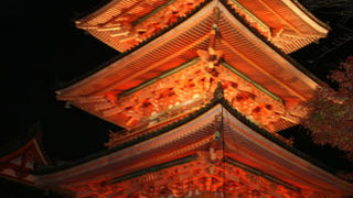 紅葉の時期、夜間拝観で伺いました