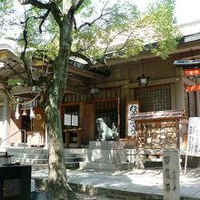 社殿以外にも見所の多い難波高津宮