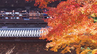 紅葉時期も良いね♪