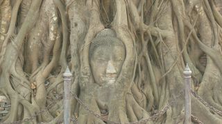 ちょっと怖い・・・